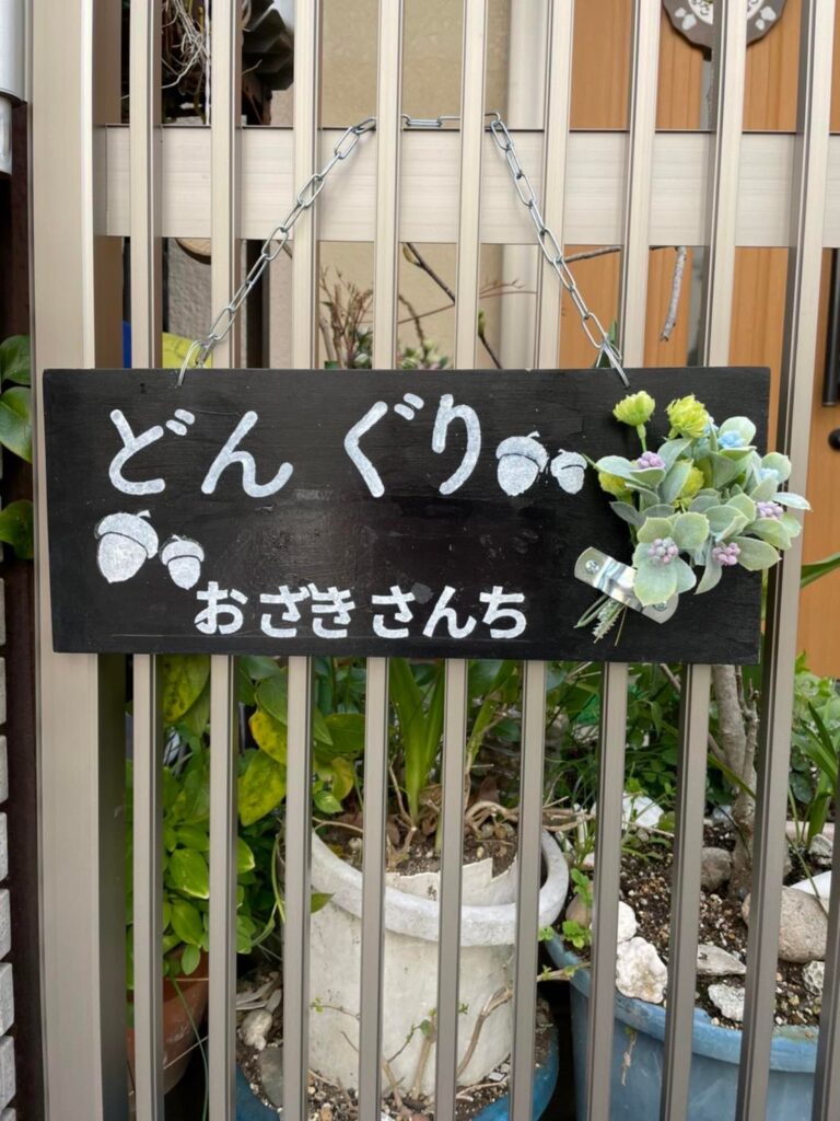 どんぐり